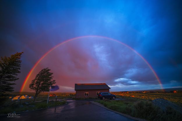 Rainbow Brilliance. Photo by Dave Bell.