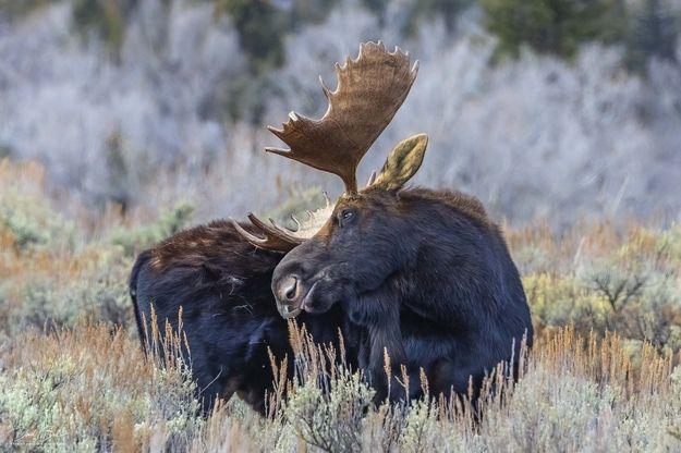 . Photo by Dave Bell.