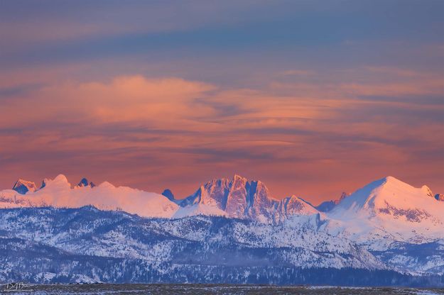 . Photo by Dave Bell.