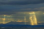 Nicely Lit Rain Shaft. Photo by Dave Bell.