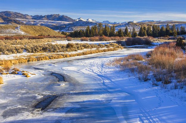 . Photo by Dave Bell.