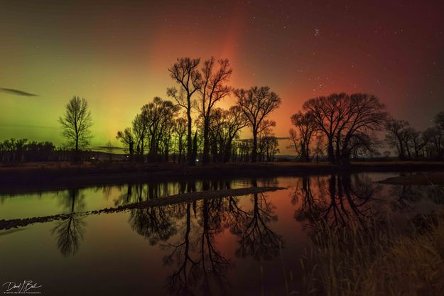 . Photo by Dave Bell.