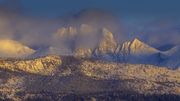 Bonneville Gold. Photo by Dave Bell.