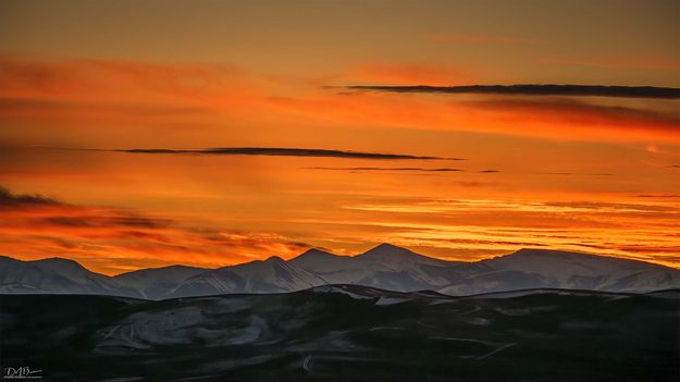 . Photo by Dave Bell.