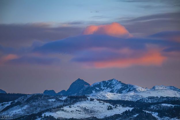 . Photo by Dave Bell.