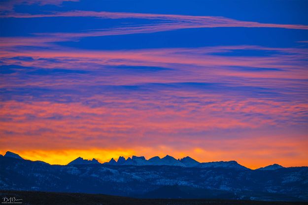 . Photo by Dave Bell.