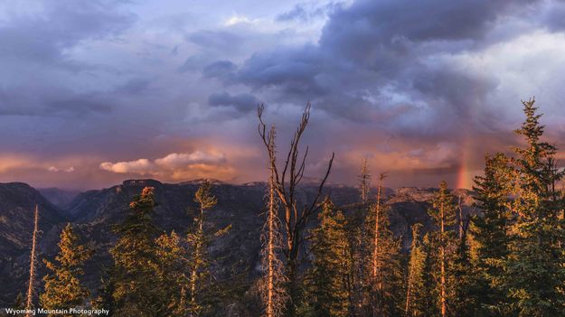 Upper Overlook Rainbow. Photo by Dave Bell.