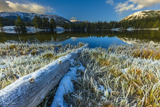 Soda Lake. Photo by Dave Bell.