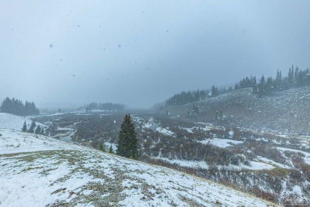 Heavy Snow Squall. Photo by Dave Bell.