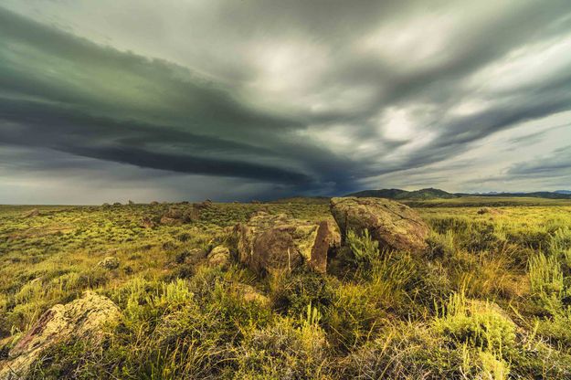 Shelf Cloud. Photo by Dave Bell.