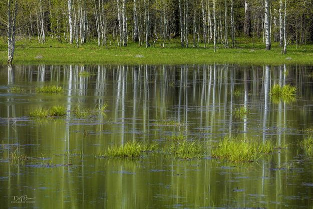 . Photo by Dave Bell.