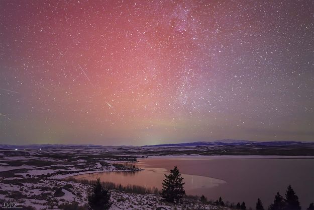 . Photo by Dave Bell.