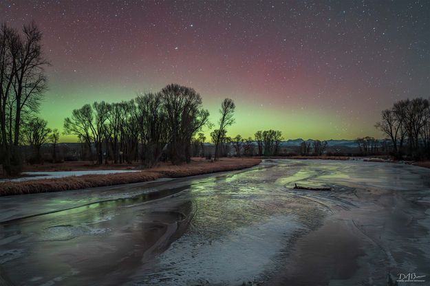 . Photo by Dave Bell.