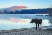 Sandy Beach At Zero And Moose-November 26