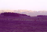 Dusk settles on Union Pass