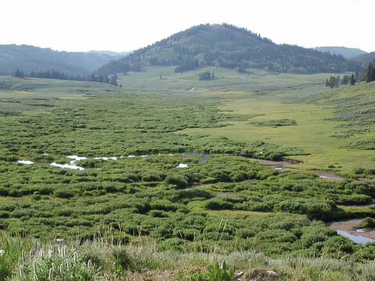 Wyoming Range Photo Gallery, Pinedale, Wyoming Area