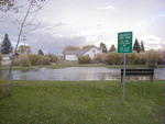 Kid's Fishing Pond in the Town Park