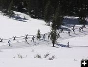 Nordic skiers