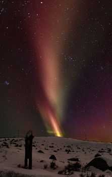 Aurora. Photo by Tony Vitolo.