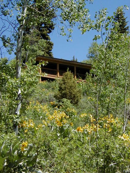 Half Moon Lake cabins. Photo by Pinedale Online.