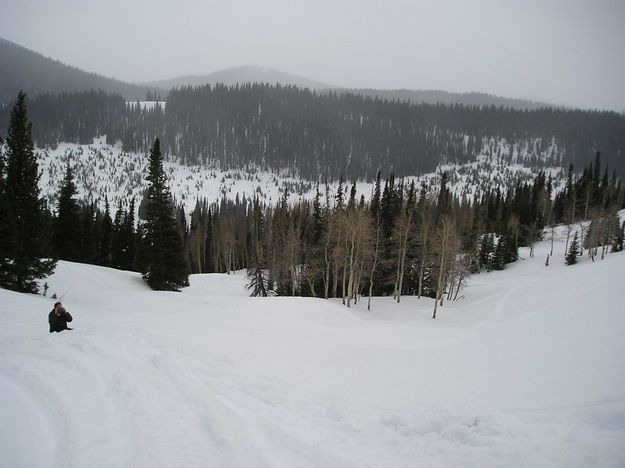 Horse Creek. Photo by Alan Svalberg.