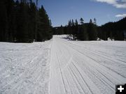 Horse Creek Trail. Photo by Alan Svalberg.