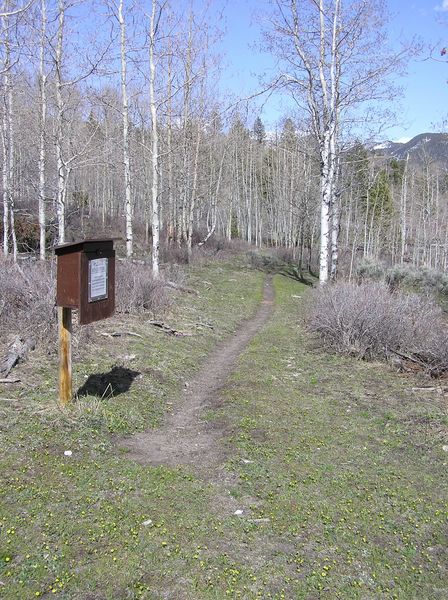 New Fork trailhead. Photo by Pinedale Online.