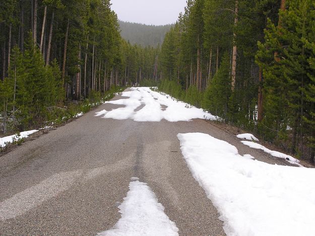 Snow on Skyline Road. Photo by Pinedale Online.