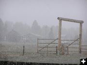 April Spring Snowstorm. Photo by Pinedale Online.