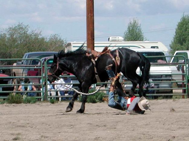 Hard Landing. Photo by Pinedale Online.