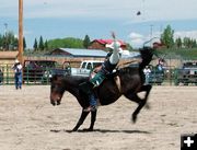 Bareback Rider. Photo by Pinedale Online.