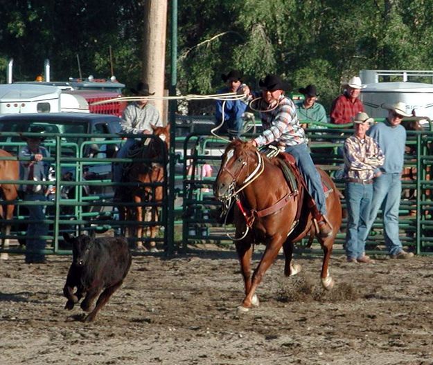 Calf Roper. Photo by Pinedale Online.