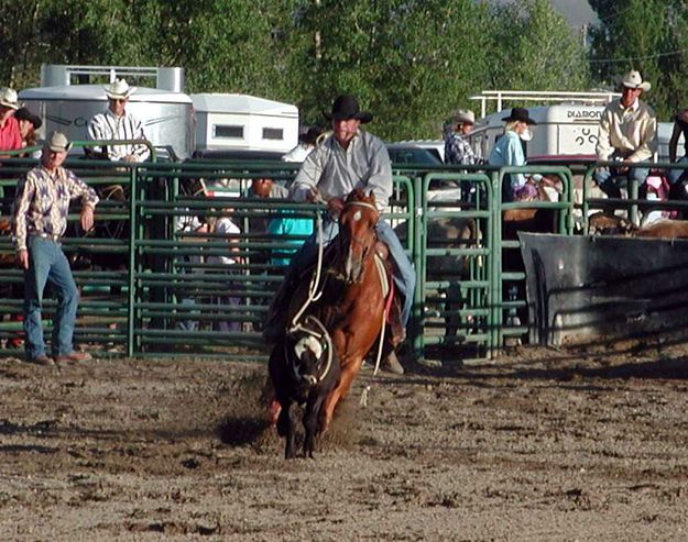 Calf Roper. Photo by Pinedale Online.