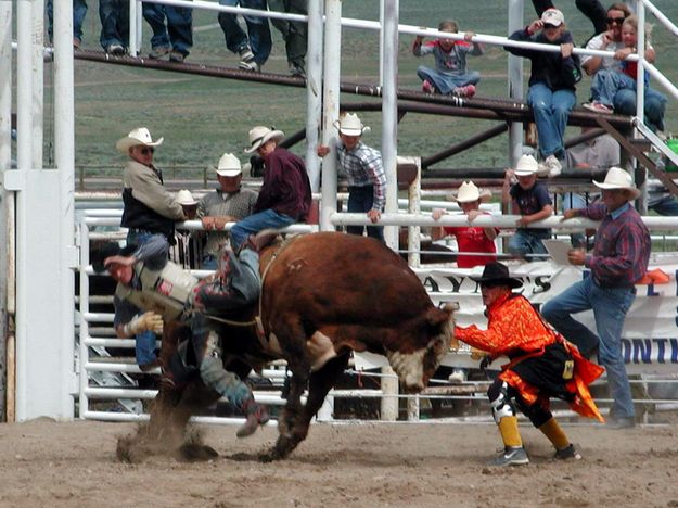 Bull Riding. Photo by Pinedale Online.