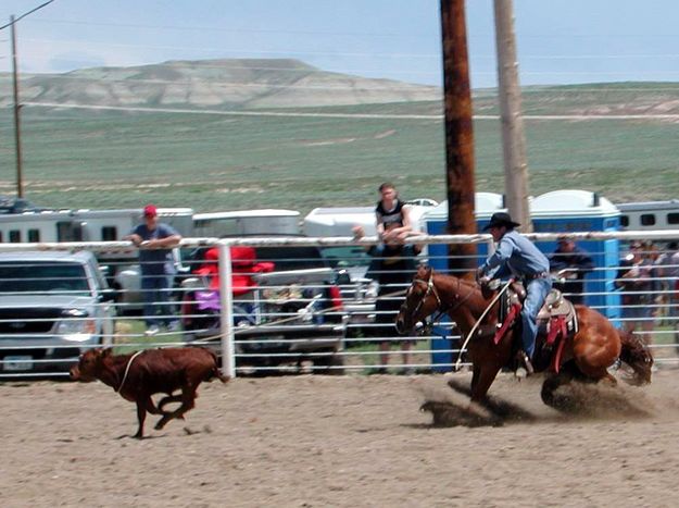 Calf Roper. Photo by Pinedale Online.