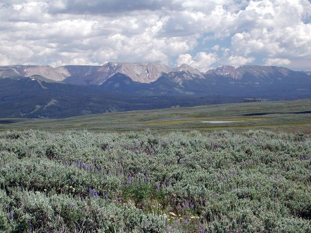 North end Wind River Mountains. Photo by Pinedale Online.