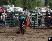 Calf Roper. Photo by Pinedale Online.