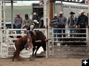 Bull Riding. Photo by Pinedale Online.