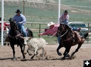 Steer Wrestling. Photo by Pinedale Online.