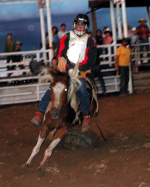 Bareback Rider. Photo by Pinedale Online.