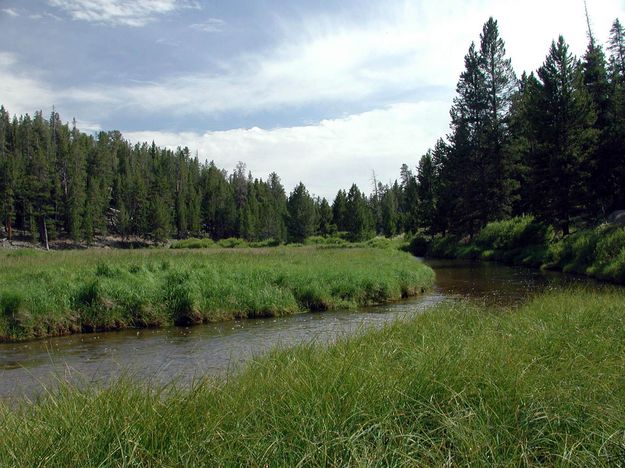 Big Sandy Creek. Photo by Pinedale Online.