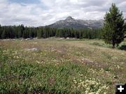 Big Sandy Trailhead. Photo by Pinedale Online.