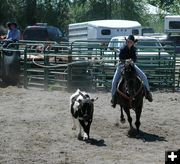 Cowgirl Roper. Photo by Pinedale Online.