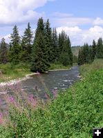 Greys River. Photo by Pinedale Online.