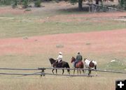 Horseback. Photo by Pinedale Online.