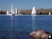 Waiting for the Wind. Photo by Pinedale Online.