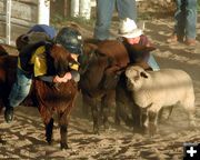 Sheep Riding. Photo by Pinedale Online.