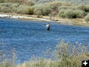 Fishing on Dollar Lake. Photo by Pinedale Online.
