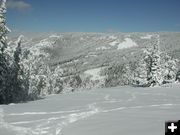 Fresh Snow. Photo by Pinedale Online.