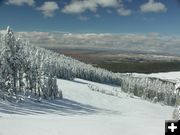 White Pine Snow. Photo by Pinedale Online.